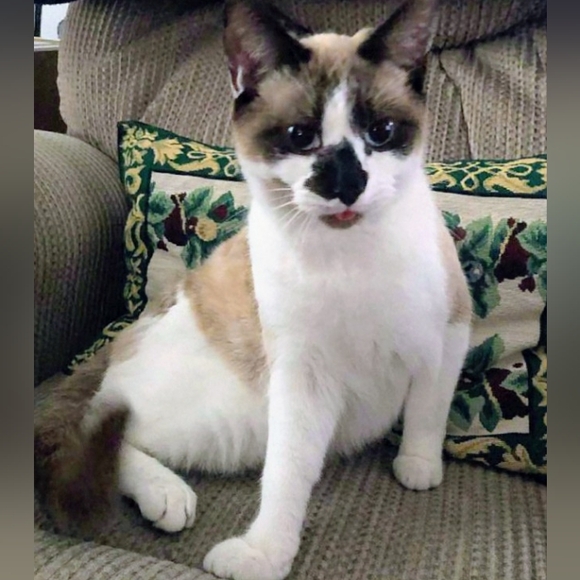 Jewelry - 💕❤️JEWELRY Buy 2, Get 1 FREE❤️💕